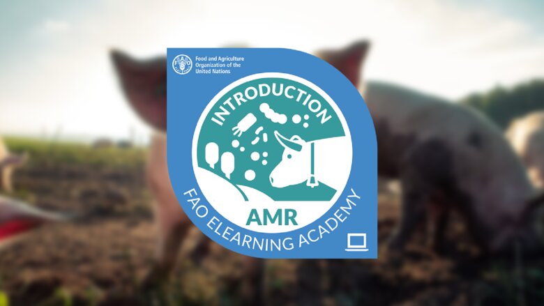 Understanding Antimicrobial Resistance In Food And Agriculture | IVVN